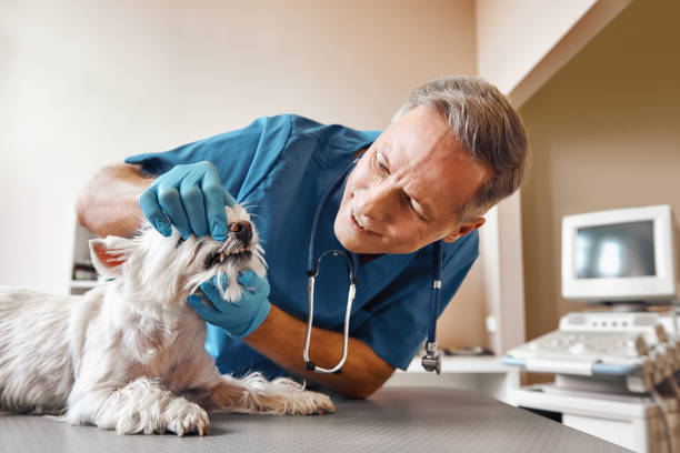 Best Emergency Treatment for Toothache in Cardington, OH
